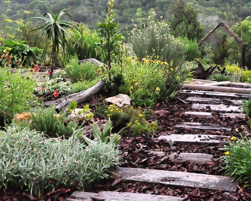 Hotel Woodlands Self Catering Knysna Exteriér fotografie