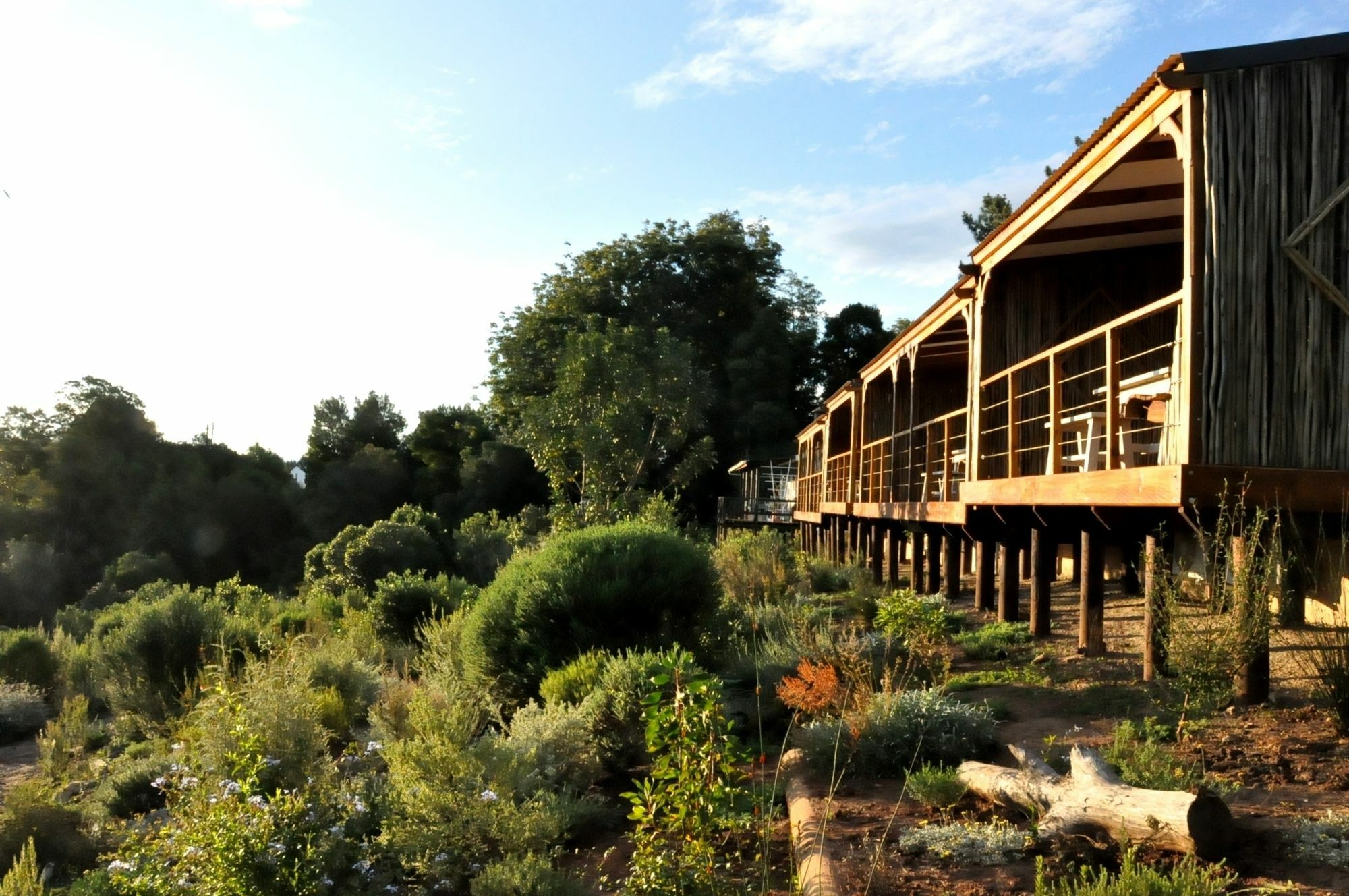 Hotel Woodlands Self Catering Knysna Exteriér fotografie