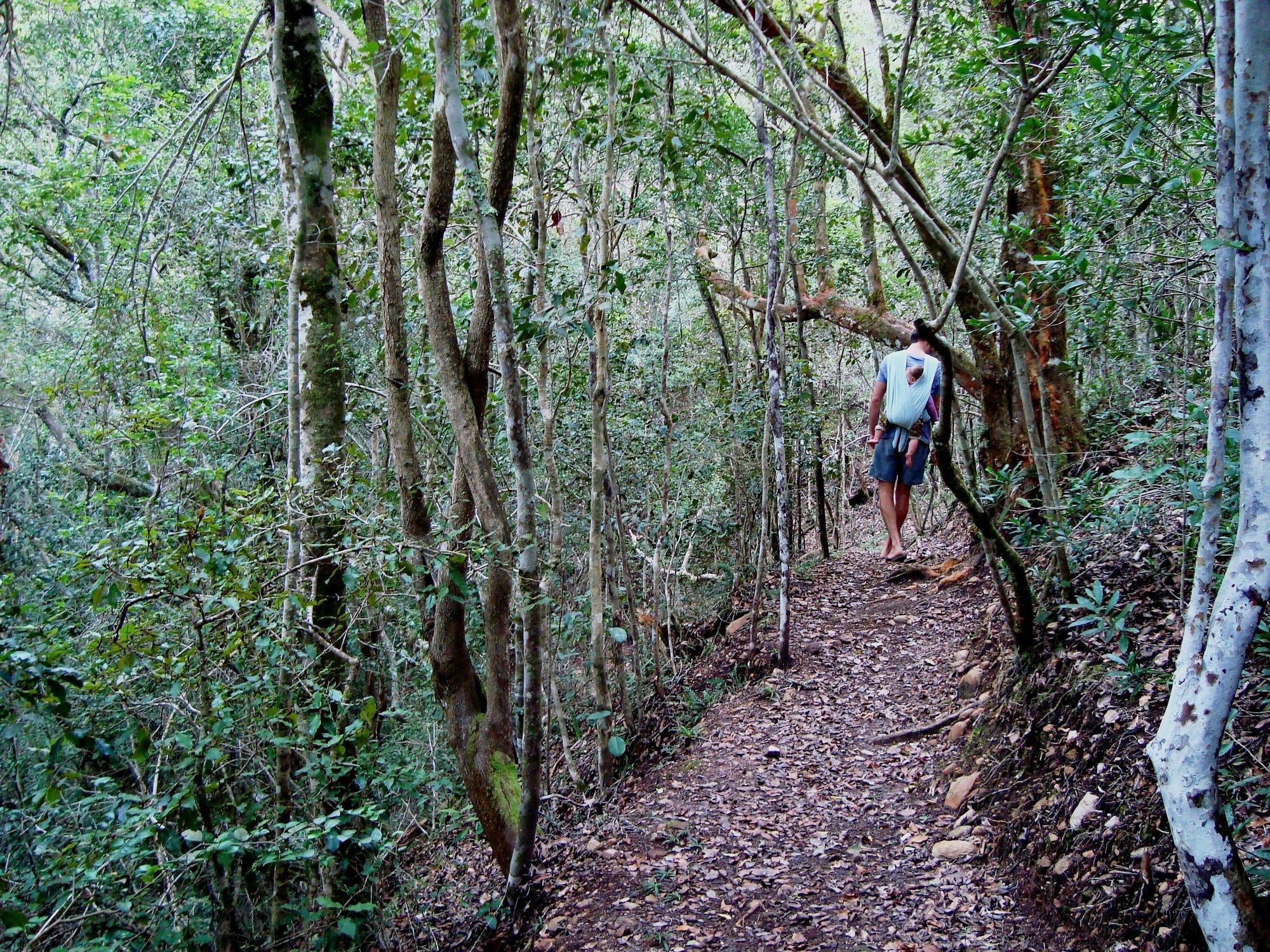 Hotel Woodlands Self Catering Knysna Exteriér fotografie